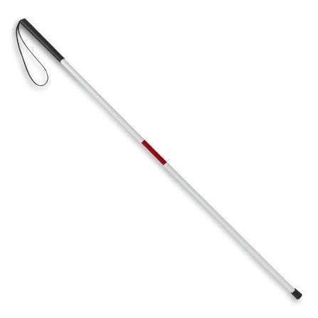 Canes for the Blind